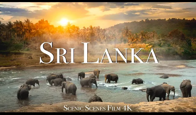 Sri Lanka In 4K - Land Of Stunning Natural Wonders | Scenic Relaxation Film